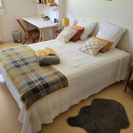 Chambre Sud Chez Habitant Toulouse Eksteriør bilde